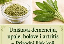 Prirodni lijek koji zamjenjuje apoteku – Uništava demenciju, upale, bolove i artritis