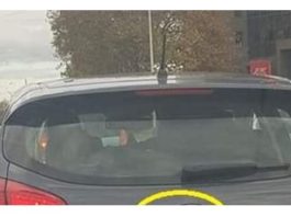 Jedan čovek je samo dodao 2 slova uz marku svog auta i nasmejao ceo Balkan do suza (foto)