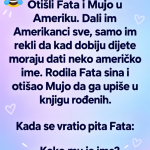 VIC DANA: Fata i Mujo u Americi