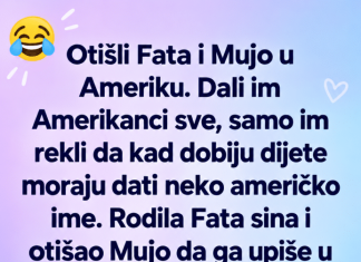 VIC DANA: Fata i Mujo u Americi