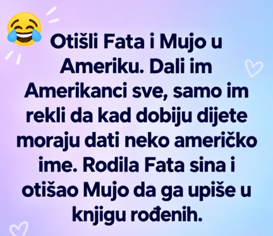 VIC DANA: Fata i Mujo u Americi