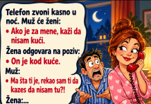 VIC DANA: ŽENA I POZIV