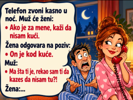 VIC DANA: ŽENA I POZIV