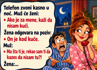 VIC DANA: ŽENA I POZIV