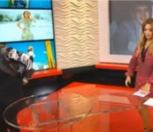 “SVE BIH VAS ZAPALILA, ZA KOSU BIH TE IZVUKLA!” Goca Tržan skočila na voditeljku, a kad čujete RAZLOG, sve će vam biti jasno: “Jesi li ti, bre, normalna?!”Kakav skandal u emisiji(VIDEO) “SVE BIH VAS ZAPALILA, ZA KOSU BIH TE IZVUKLA!” Goca Tržan skočila na voditeljku, a kad čujete RAZLOG, sve će vam biti jasno: “Jesi li ti, bre, normalna?!”Kakav skandal u emisiji(VIDEO) - featured image