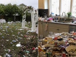 Moja šogorica pretvorila je bakin vrt uz jezero u smetlište nakon svog raskošnog vjenčanja — mislila je da ću sve počistiti u tišini, sve dok joj nisam uručila dar koji je razotkrio ono što je mjesecima skrivala Moja šogorica pretvorila je bakin vrt uz jezero u smetlište nakon svog raskošnog vjenčanja — mislila je da ću sve počistiti u tišini, sve dok joj nisam uručila dar koji je razotkrio ono što je mjesecima skrivala - featured image