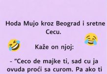 VIC: Mujo sretne Cecu VIC: Mujo sretne Cecu - featured image