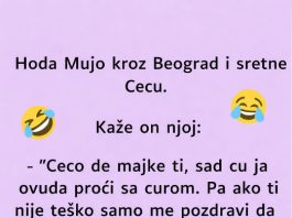 VIC: Mujo sretne Cecu VIC: Mujo sretne Cecu - featured image